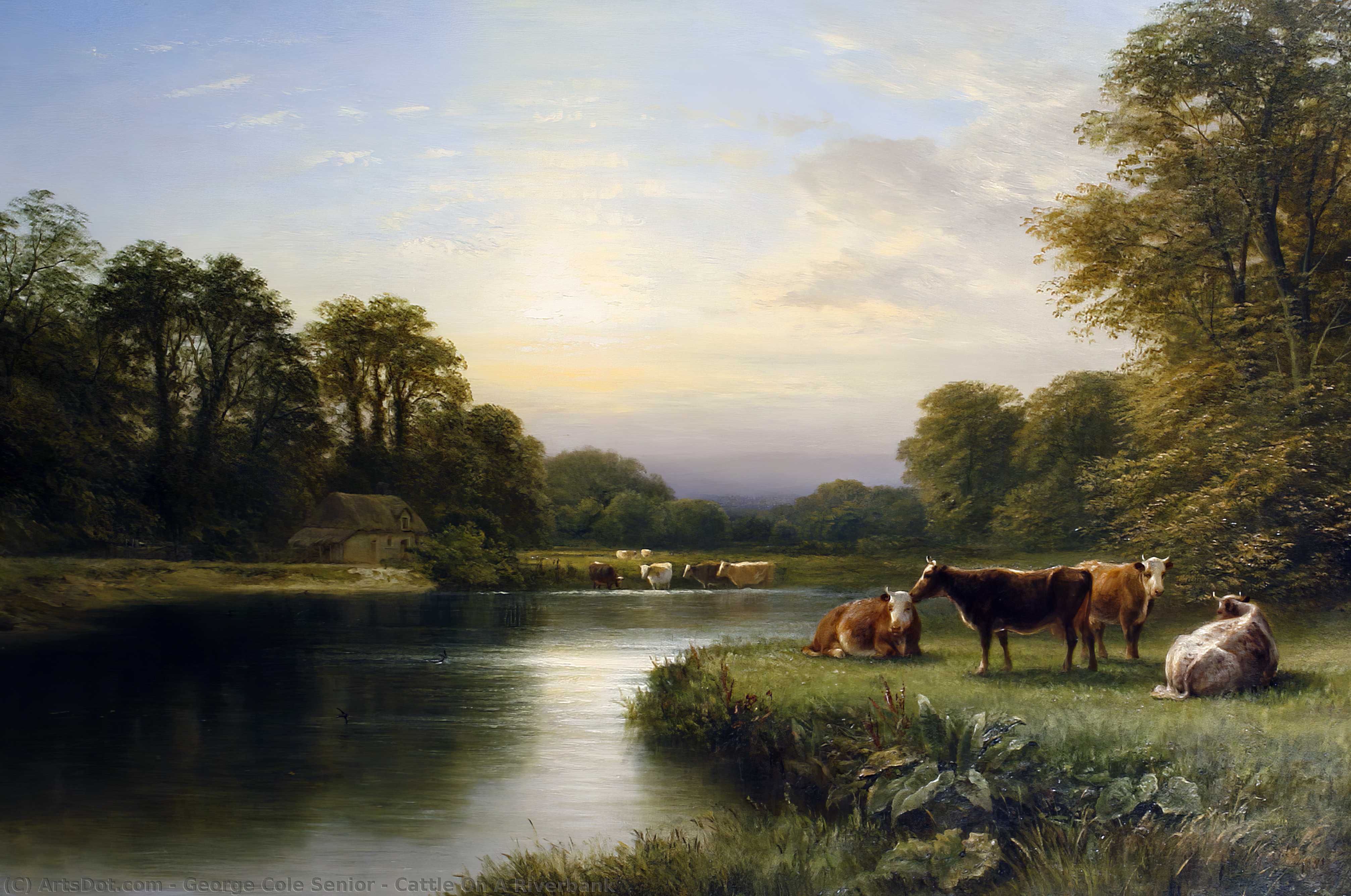 Cattle On A Riverbank — George Cole Senior