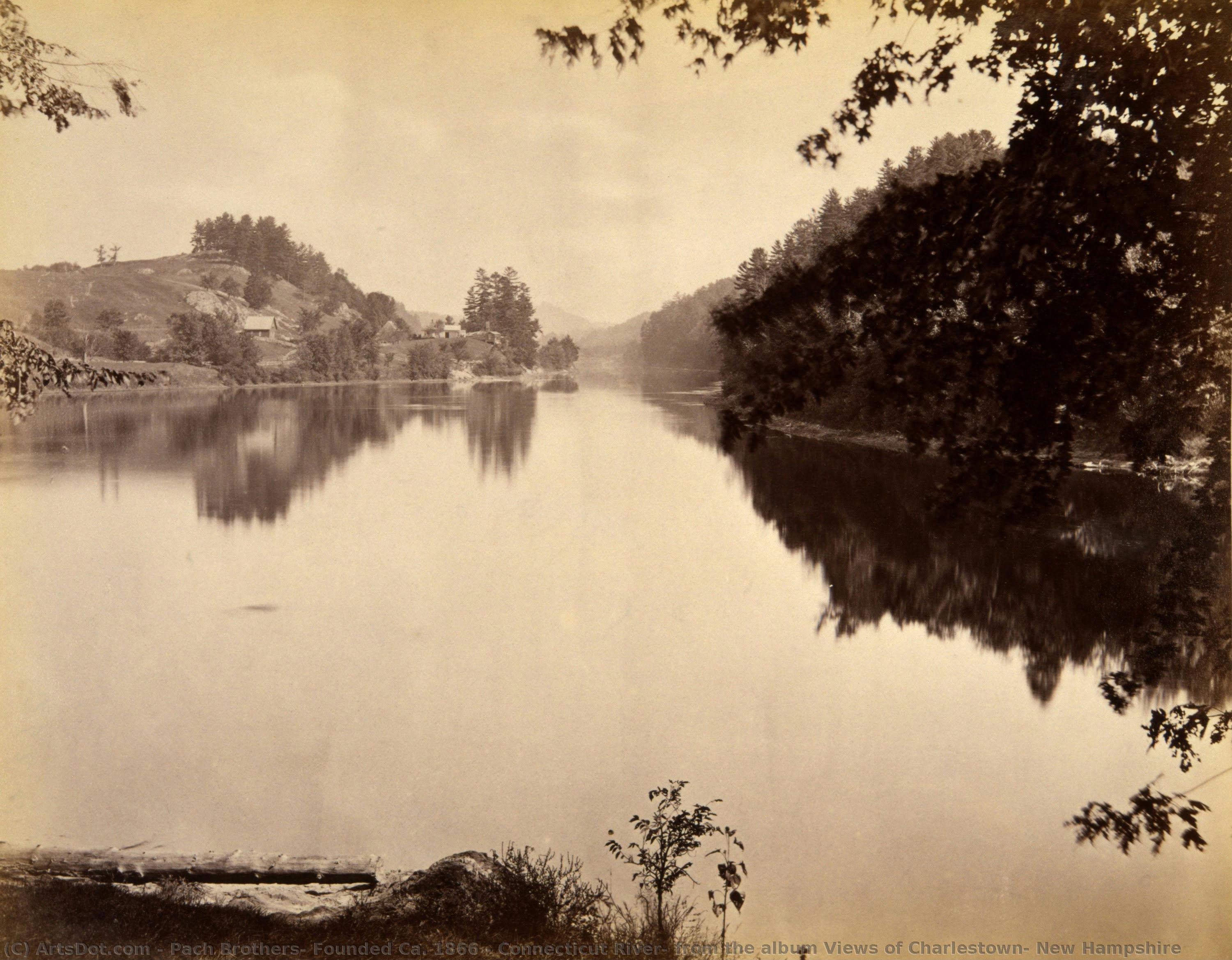 Connecticut River, From The Album Views Of Charlestown, New Hampshire — Pach Brothers, Founded Ca. 1866