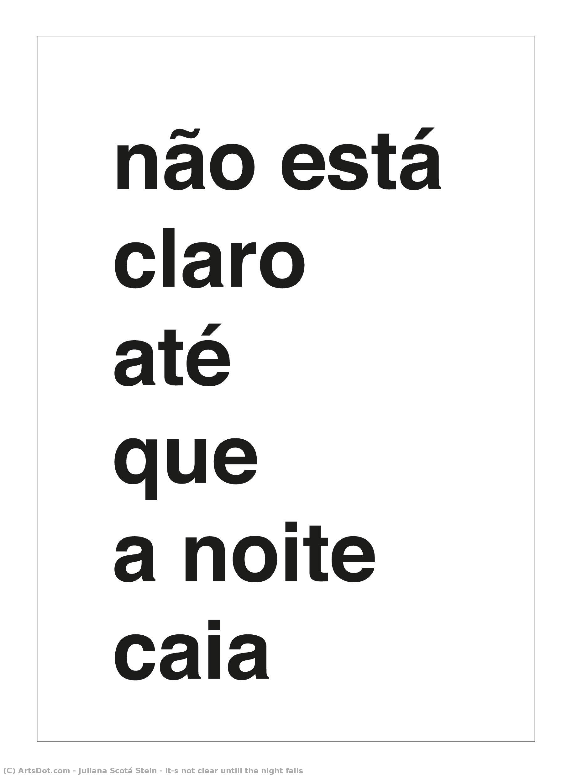 It’s Not Clear Untill The Night Falls — Juliana Scotá Stein