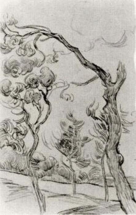 Pine Trees Seen Against The Wall Of The Asylum — Vincent Willem Van Gogh
