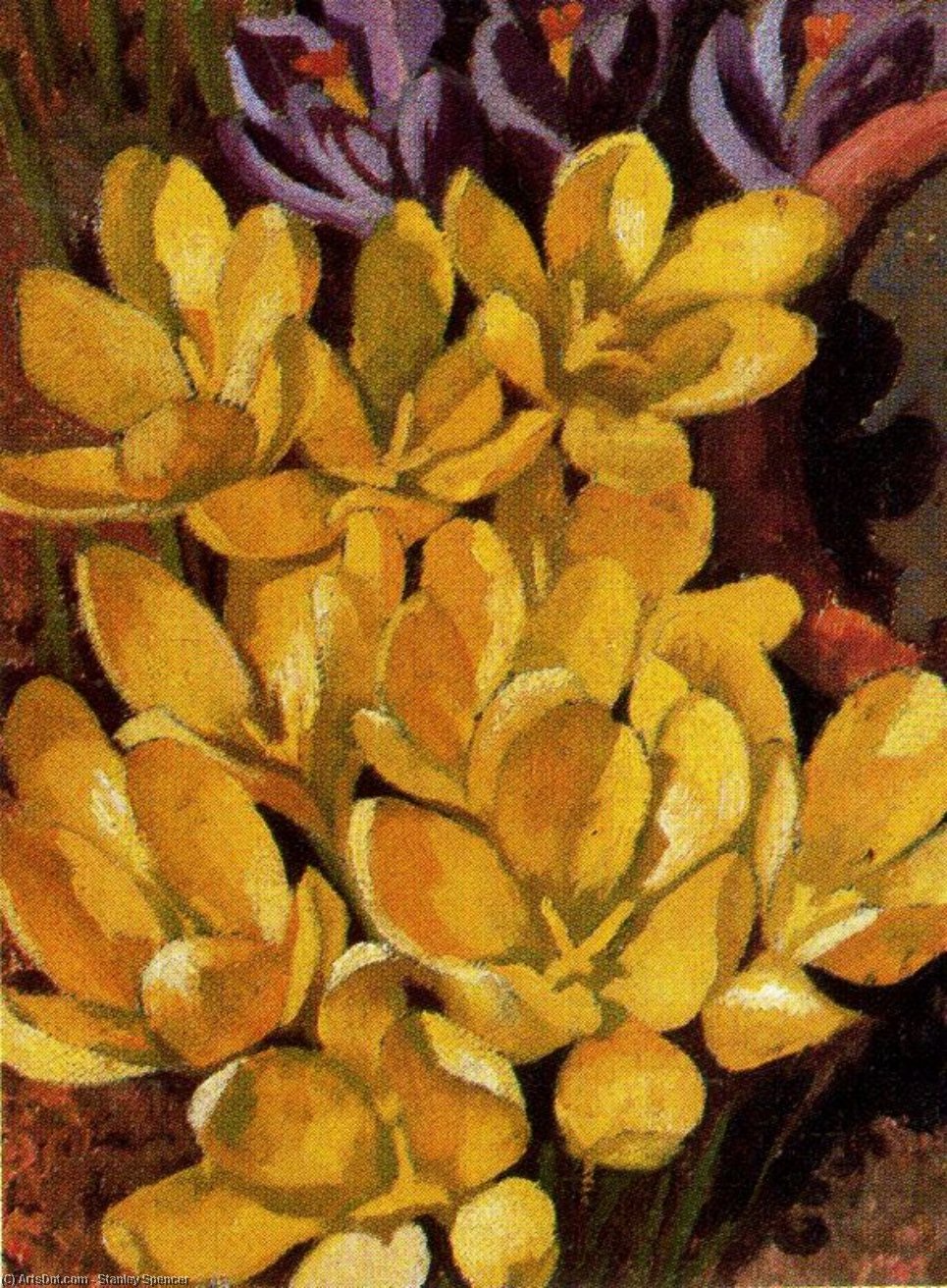 Crocuses — Ser Stenli Spenser