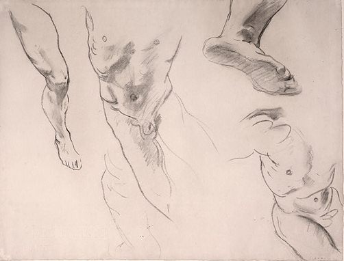 Figure Studies Of A Male Youth — John Singer Sargent
