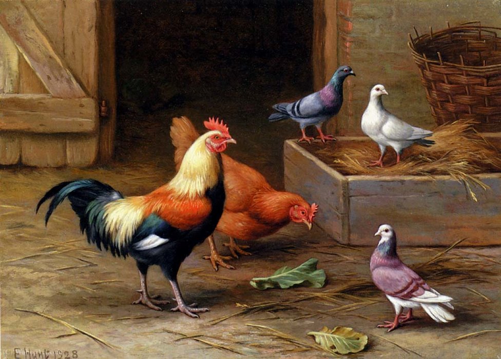 Chickens Pigeons And A Dove — Edgar Hunt