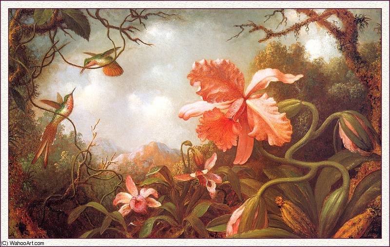 Two Hummingbirds And Two Varieties Of Orchids — Martin Johnson Heade