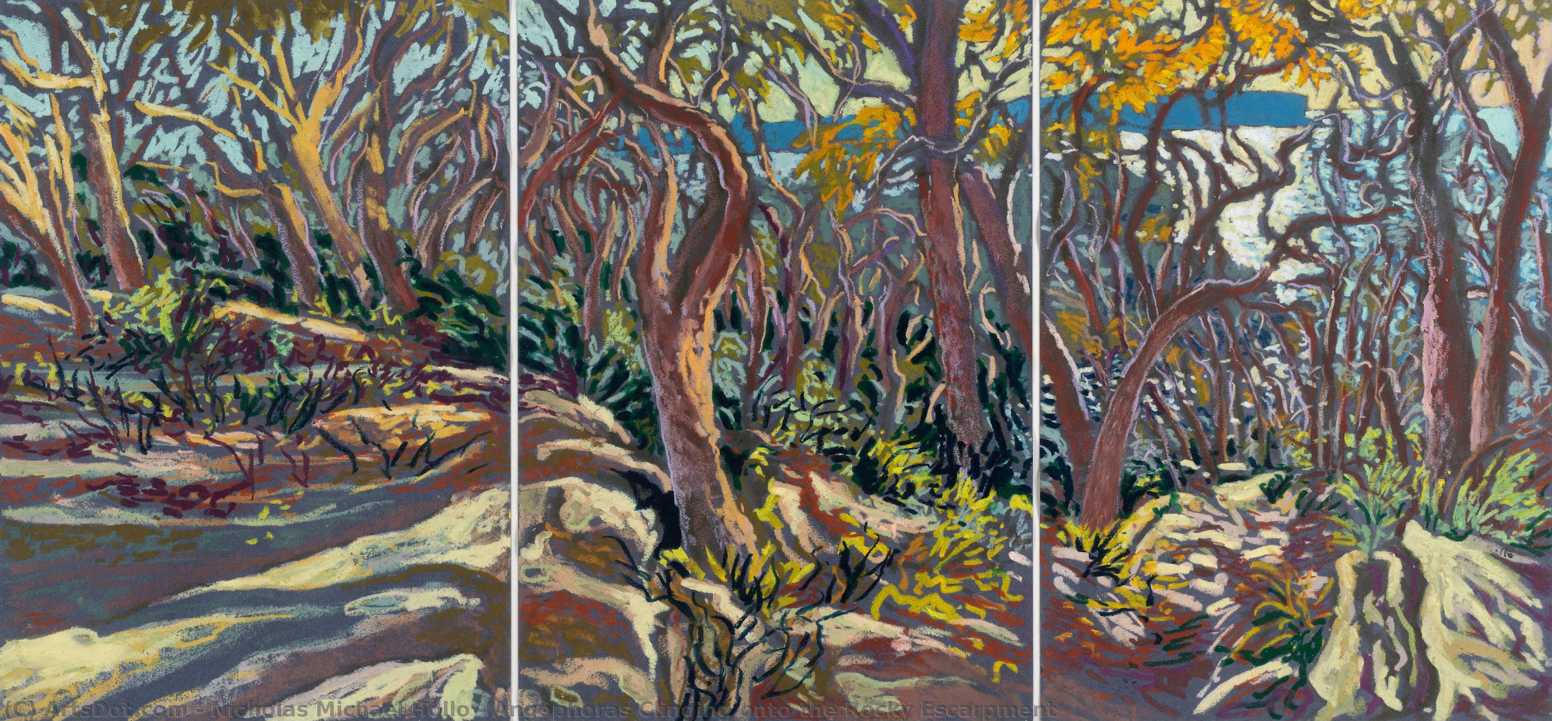 Angophoras Clinging Onto The Rocky Escarpment — Nicholas Michael Hollo