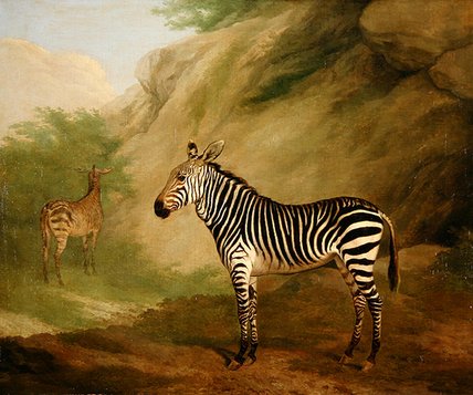 Zebra, — Jacques Laurent Agasse