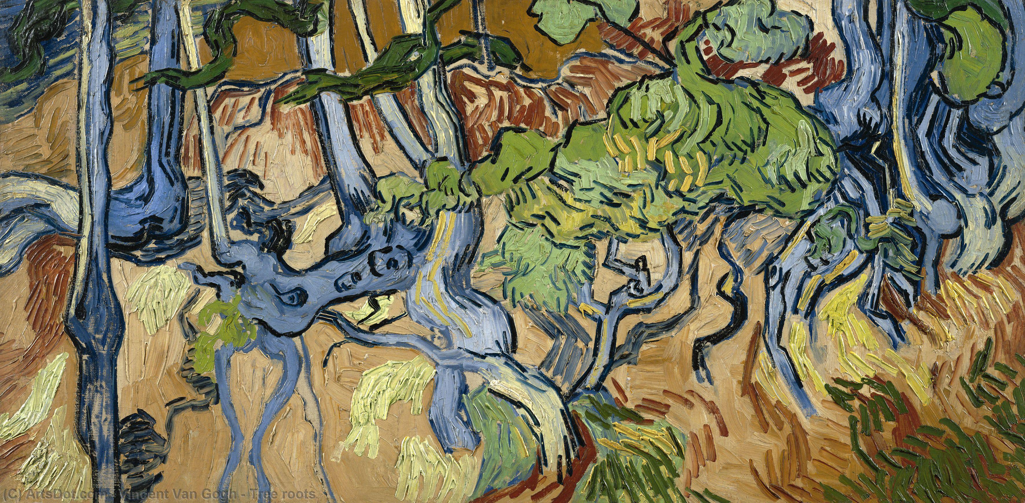 Raíces De Un Árbol — Vincent Willem Van Gogh