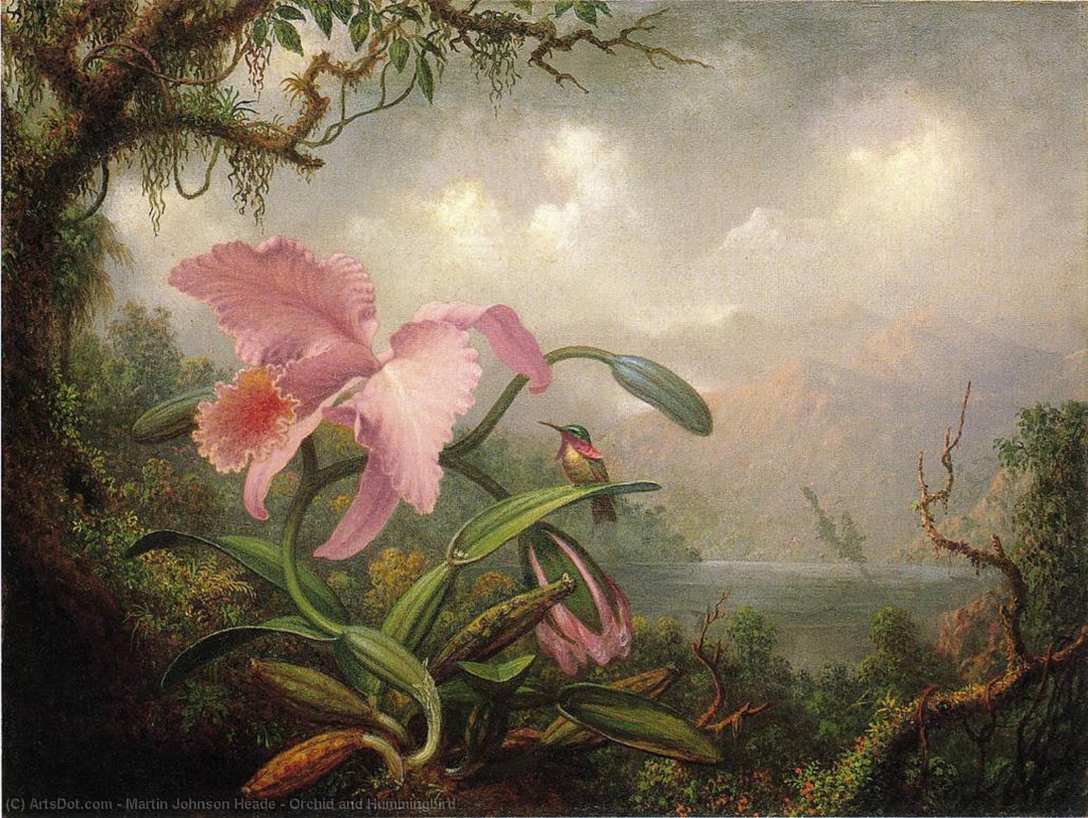Orchid And Hummingbird — Martin Johnson Heade