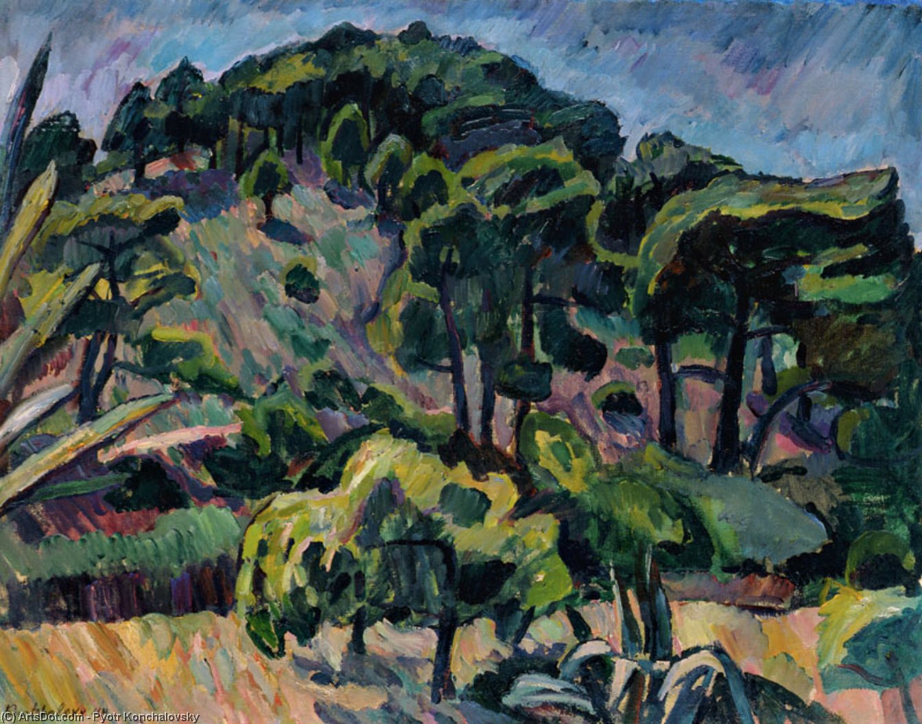 France. Mountain Lavender. — Petar Končalovski