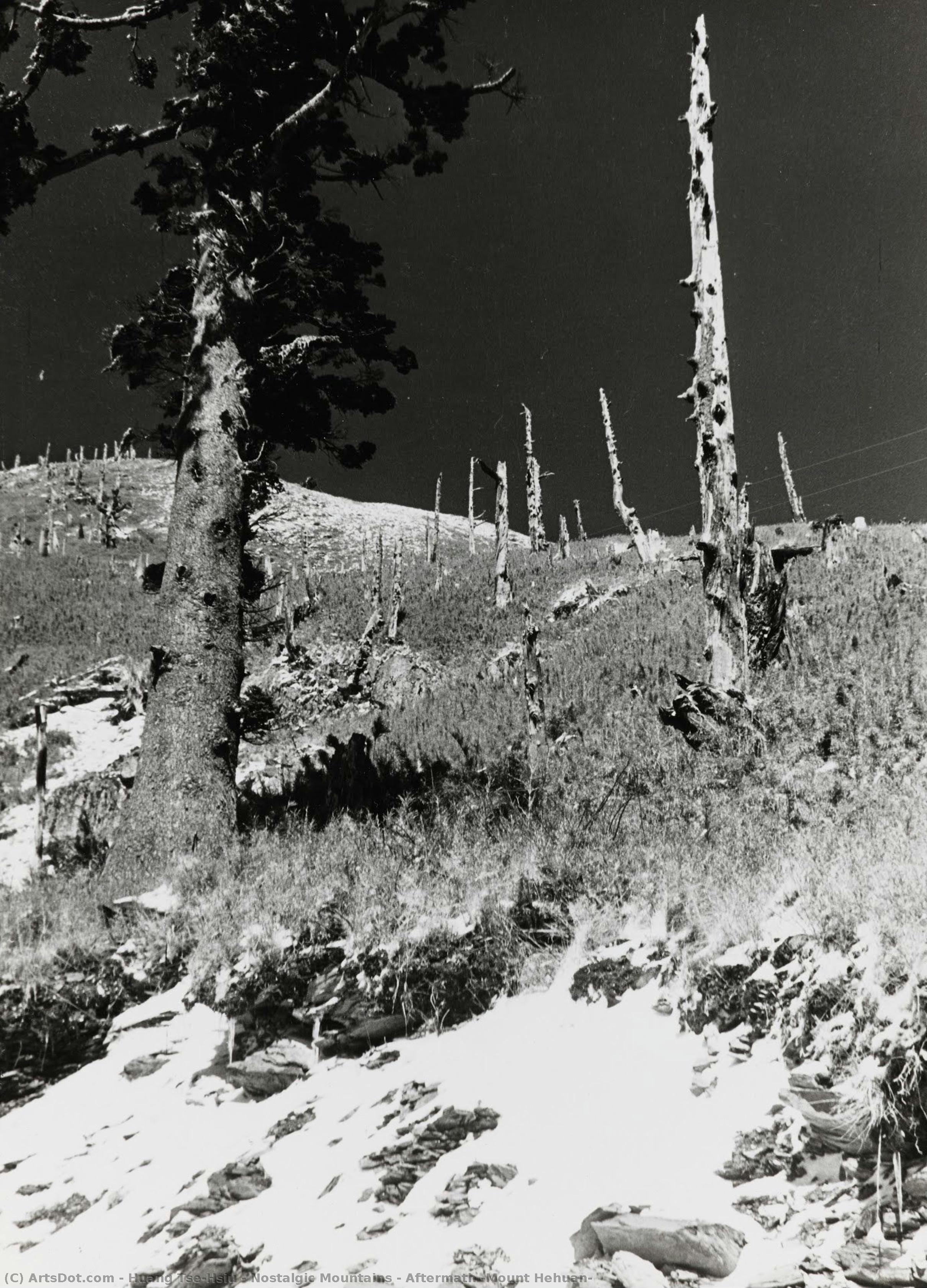 Nostalgic Mountains – Aftermath （mount Hehuan） — Huang Tse-hsiu