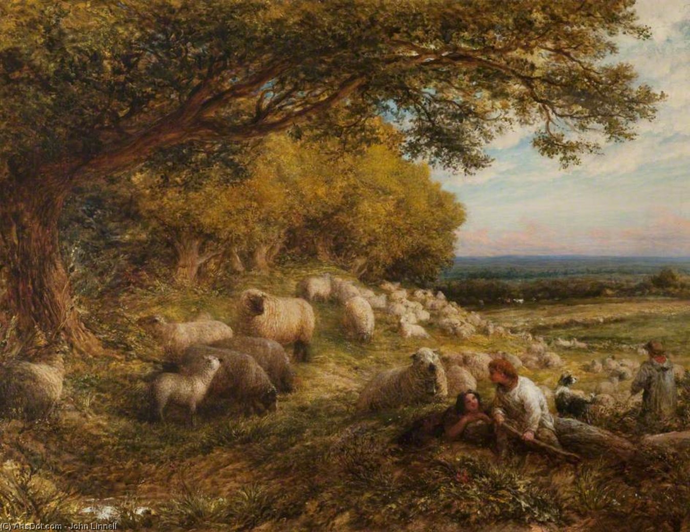 Sheep — Džon Linel