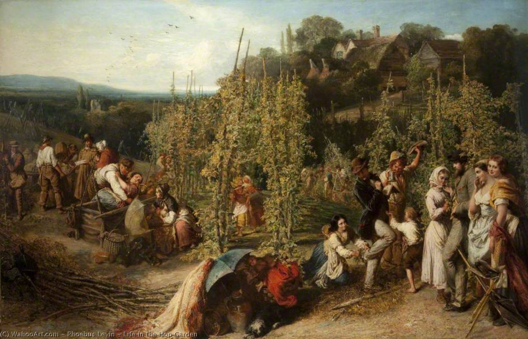 Life In The Hop Garden — Phoebus Levin