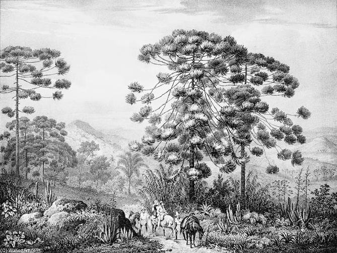 Sierra Or Blanc Dans La Province De Minas Gerais — Johann Moritz Rugendas