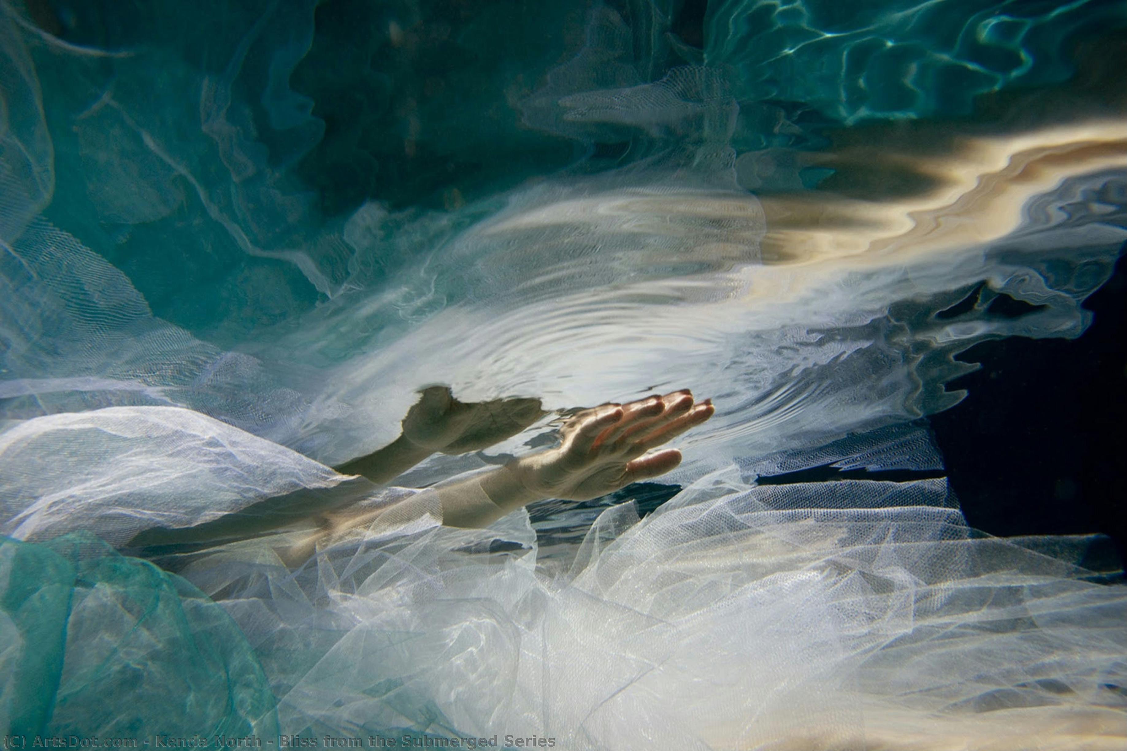 Bliss From The Submerged Series — Kenda North