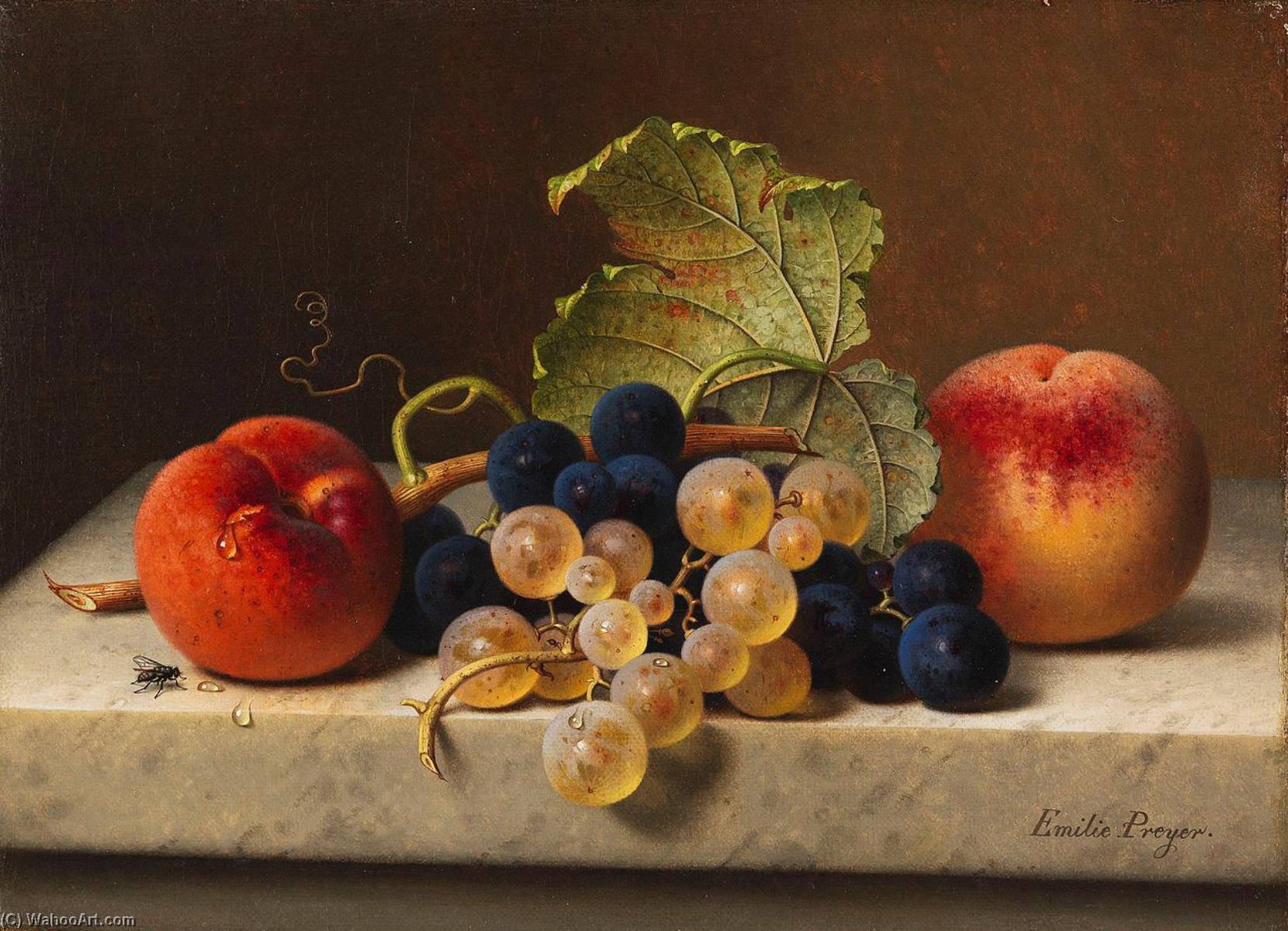 Fruit Still Life With Two Peaches And Blue And Green Grapes On The Branch And A Vine Leaf — Emilie Preyer