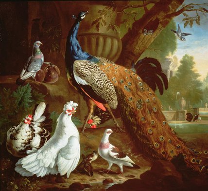 A Peacock In A Classical Landscape, — Pieter Casteels Iii