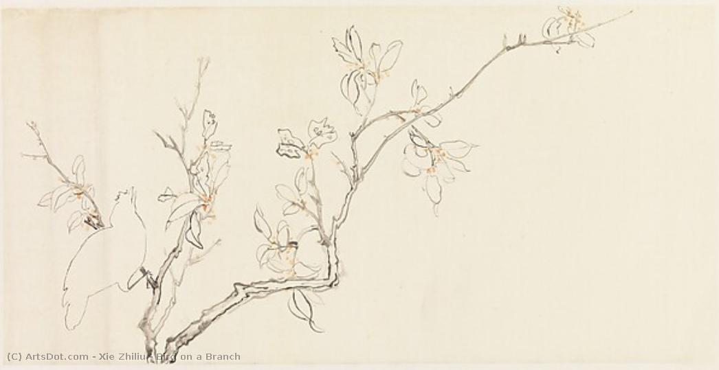 Bird On A Branch — Xie Zhiliu