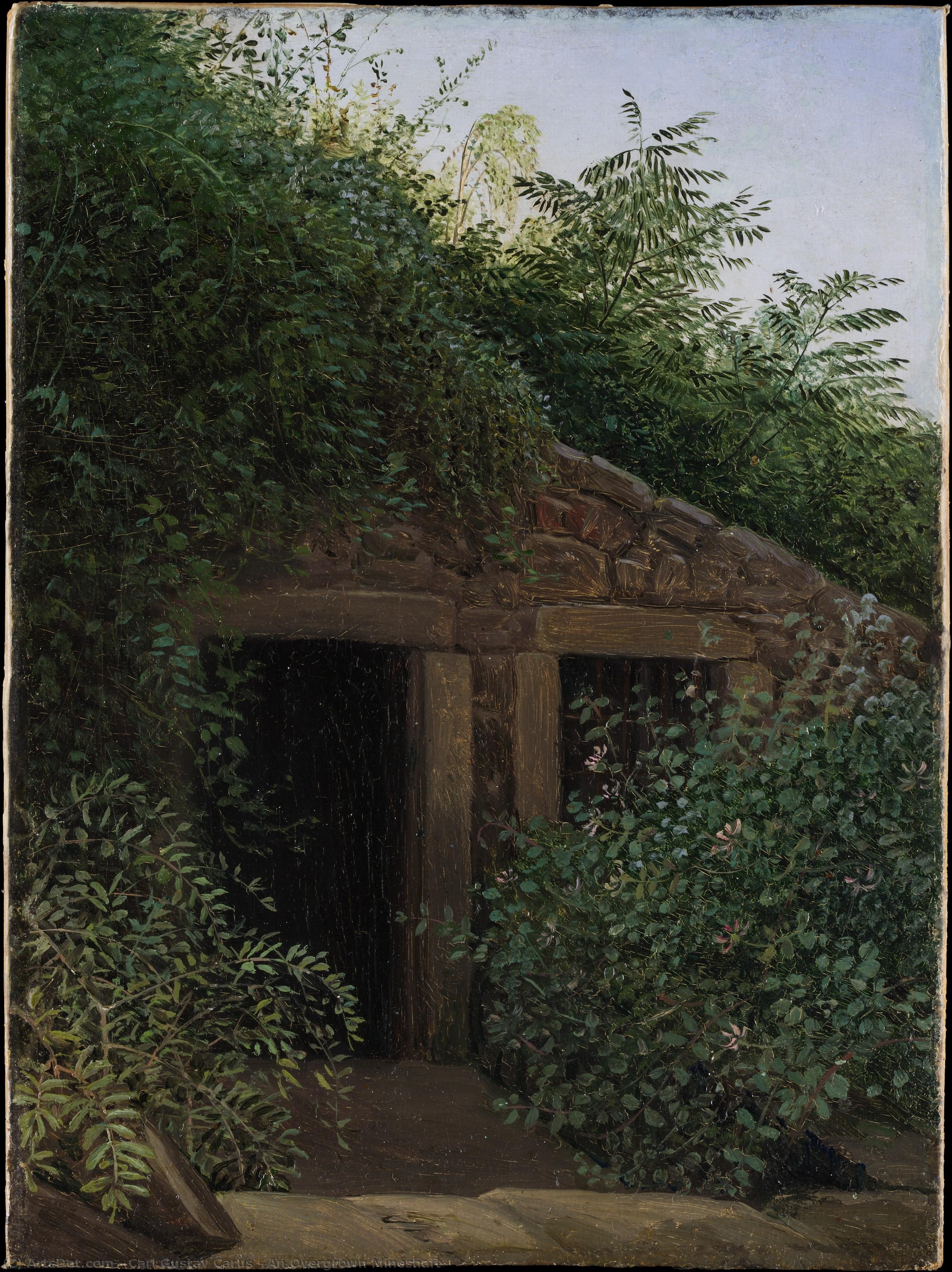 An Overgrown Mineshaft — Carl Gustav Carus