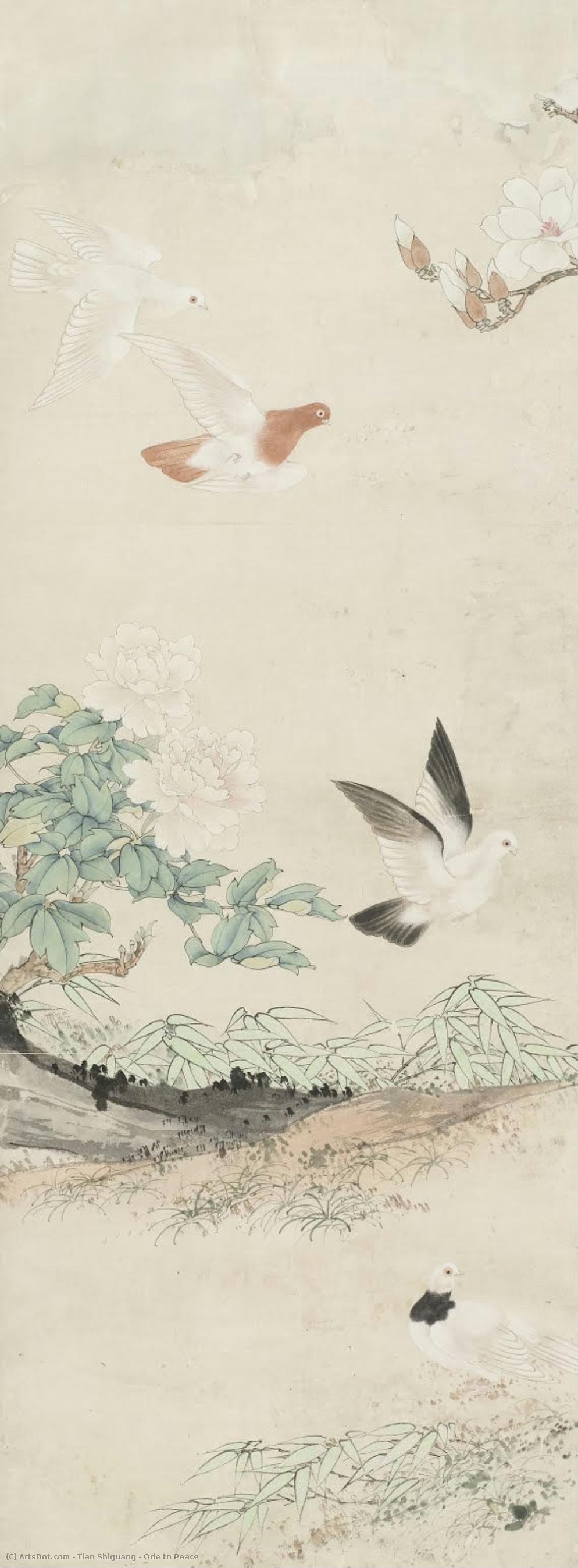 Ode To Peace — Tian Shiguang