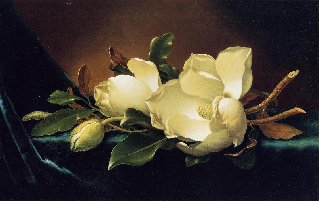 Two Magnolias And A Bud On Teal Velvet — Martin Johnson Heade