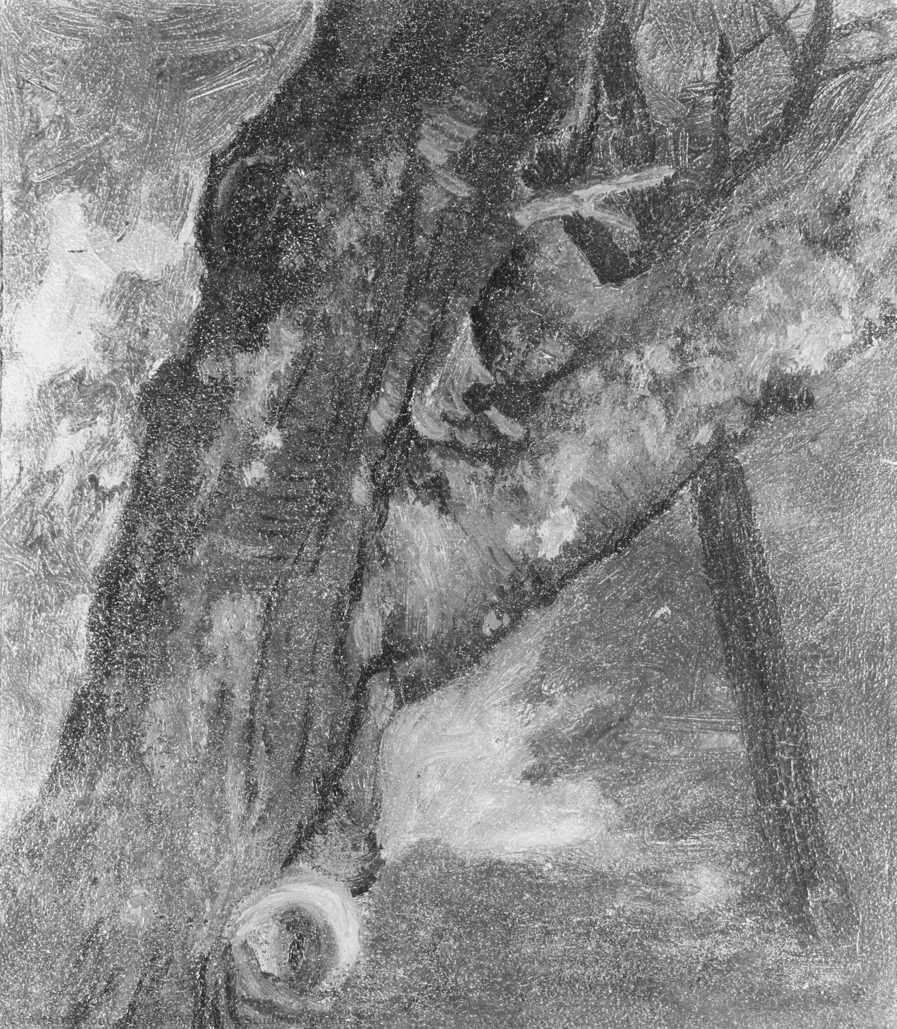 Study Of A Tree — Альберт Биерштадт