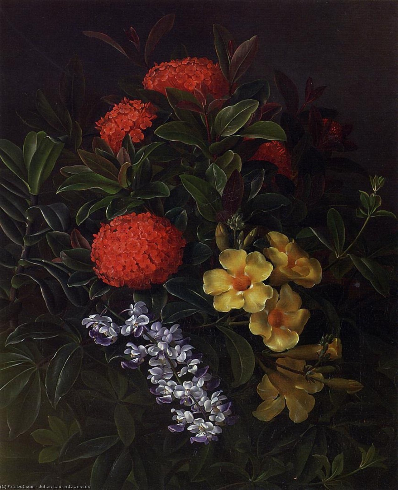 Allemanda, Ixora And Orchids — Johan Laurentz Jensen