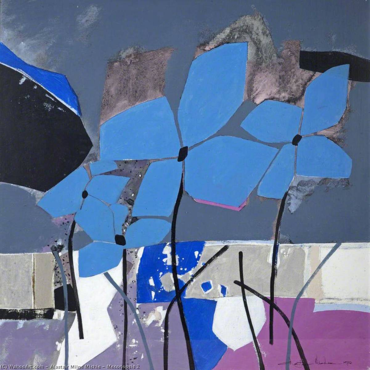 Meconopsis 2 — Alastair Milne Michie