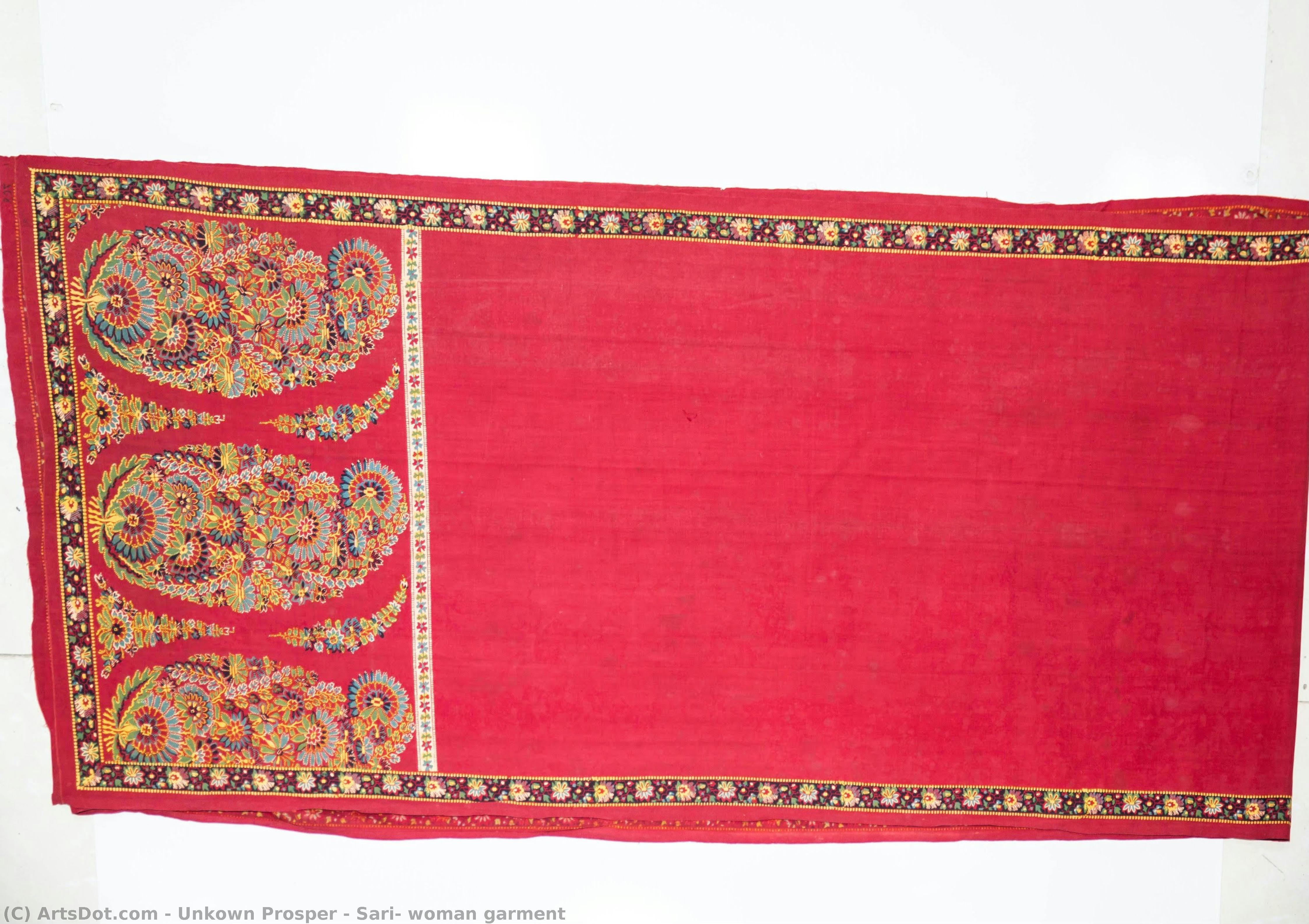 Sari- Woman Garment — Анноун Проспер