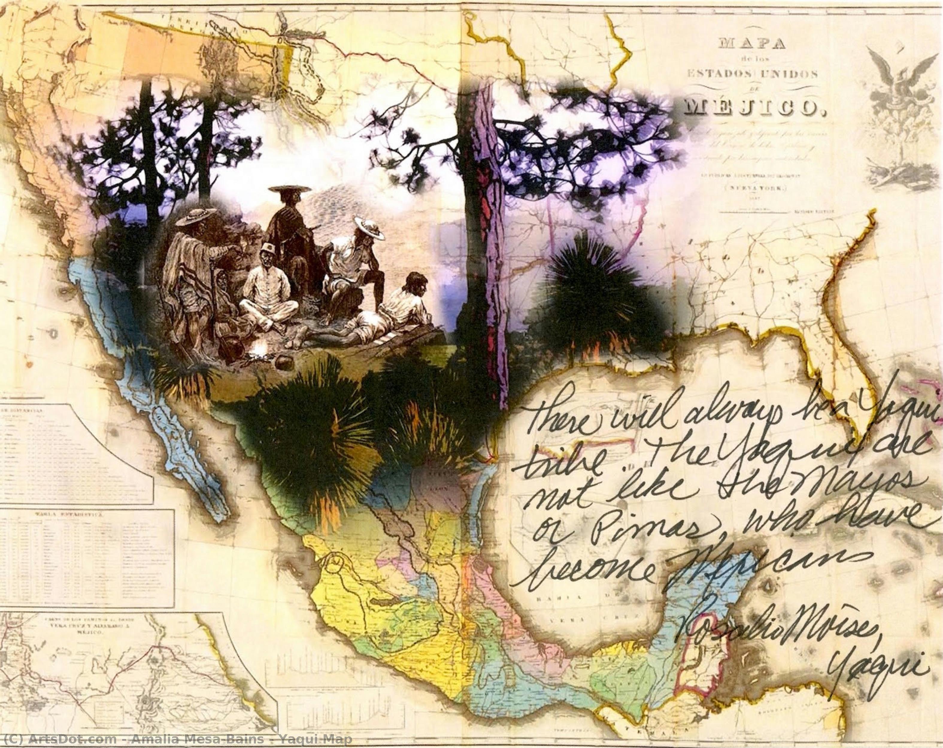 Yaqui Map — Amalia Mesa-bains