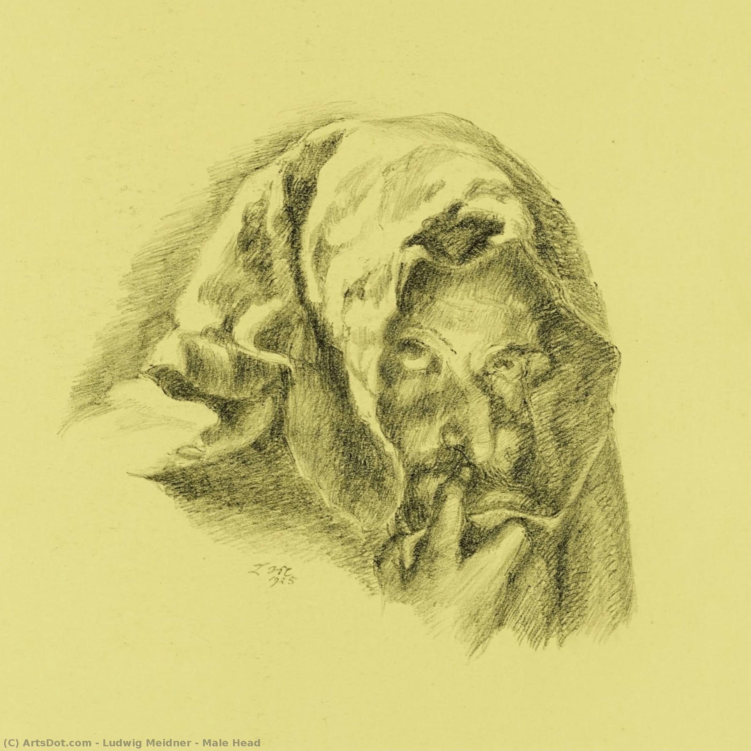 Male Head — Ludwig Meidner
