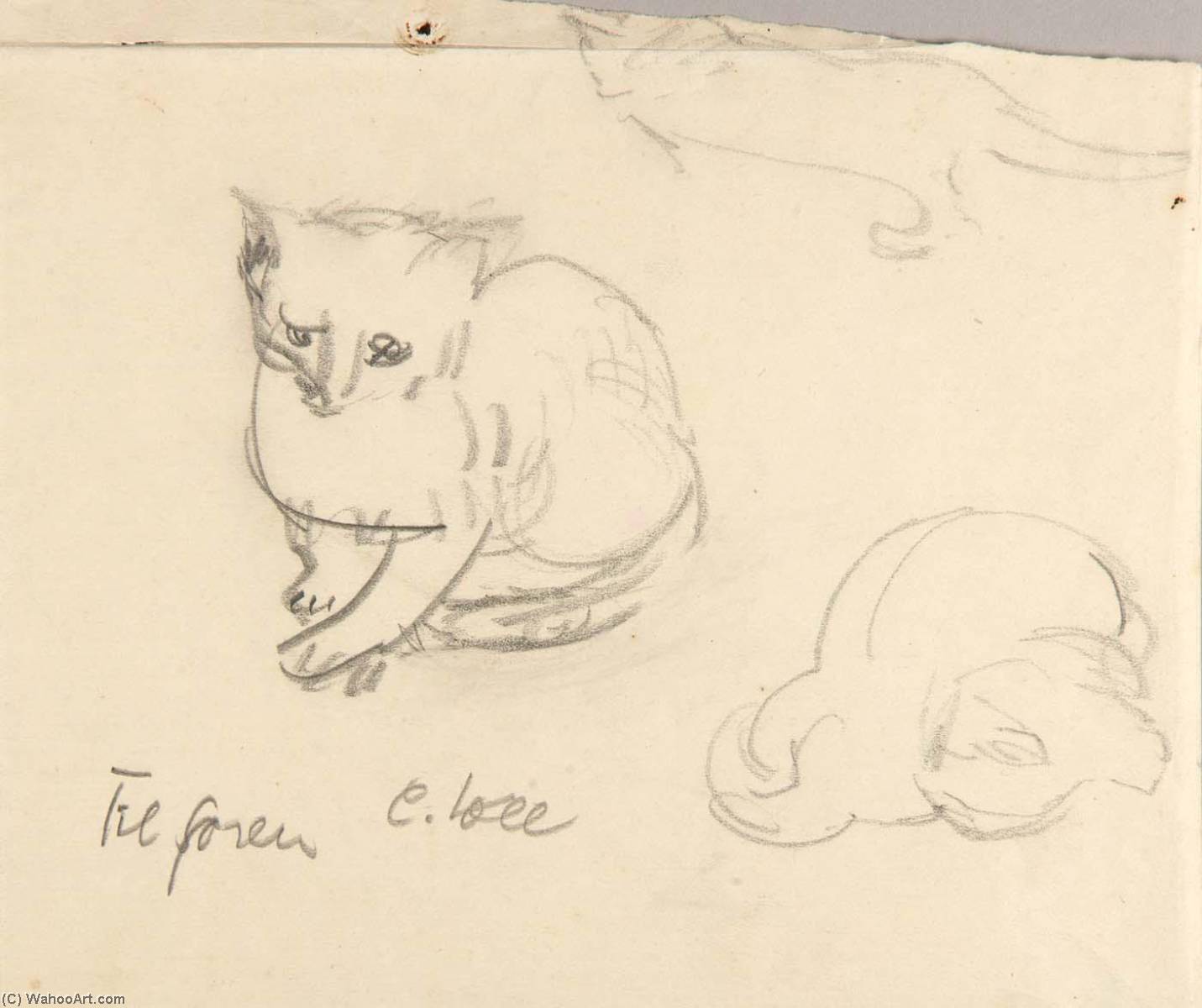 Cats — Christoph Voll