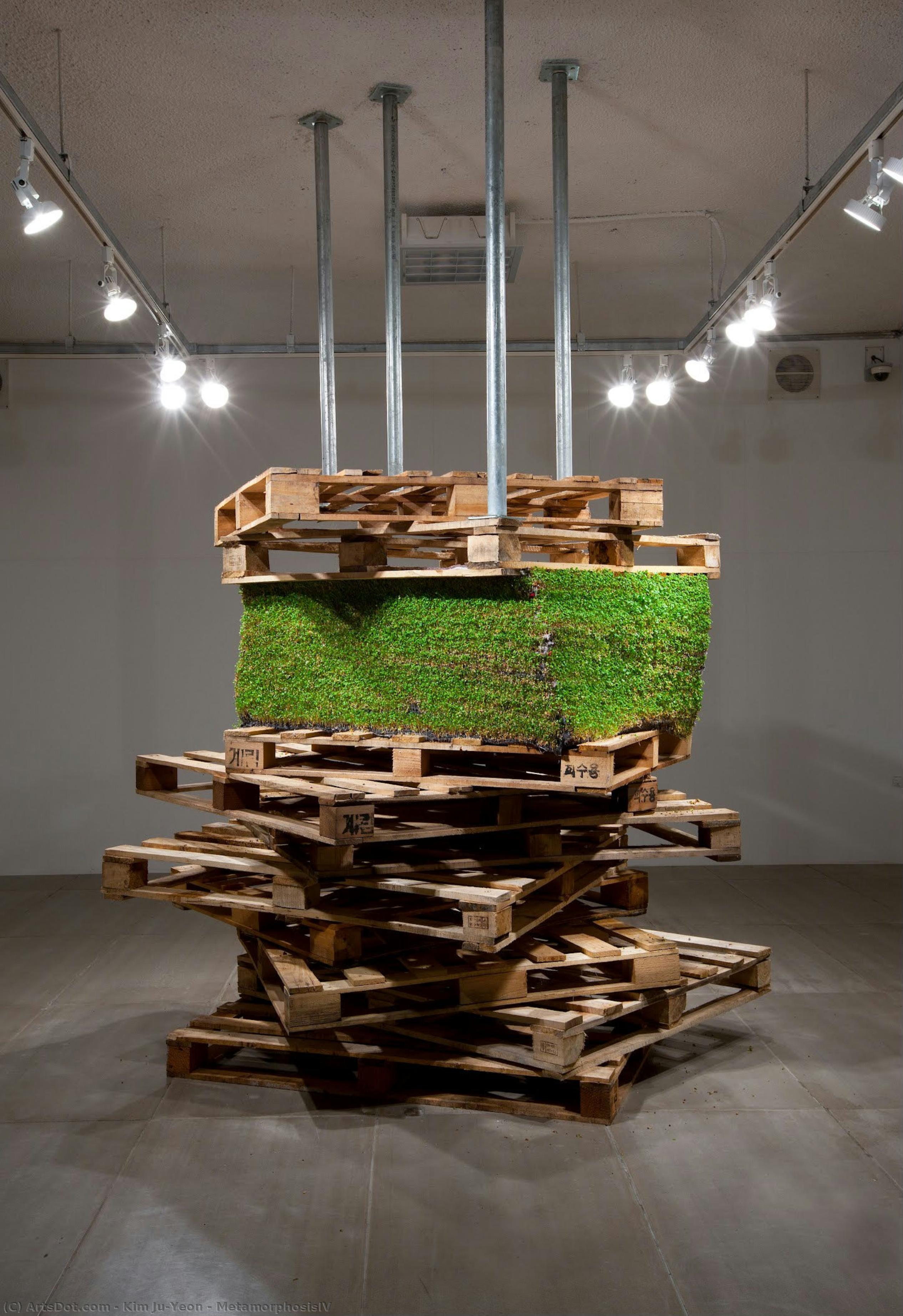 Metamorphosisiv — Kim Ju-yeon
