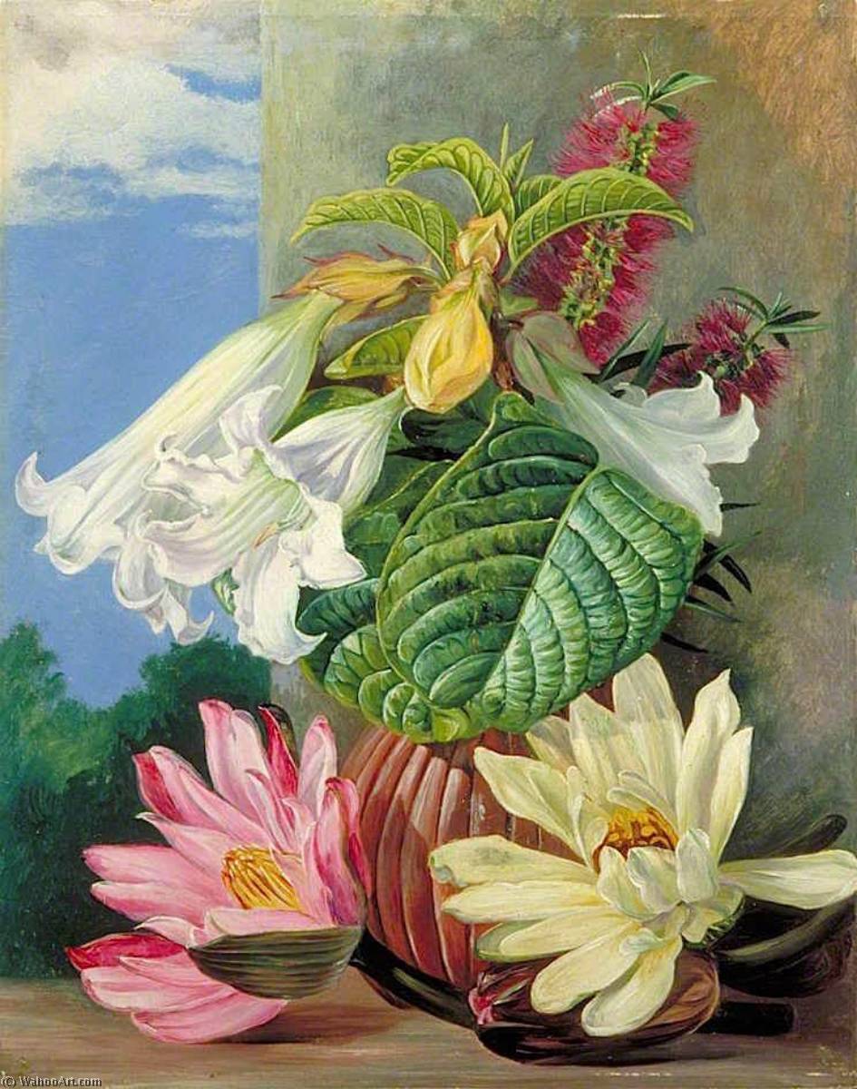 Flowers Cultivated In The Botanic Garden, Rio Janeiro, Brazil — Marianne North