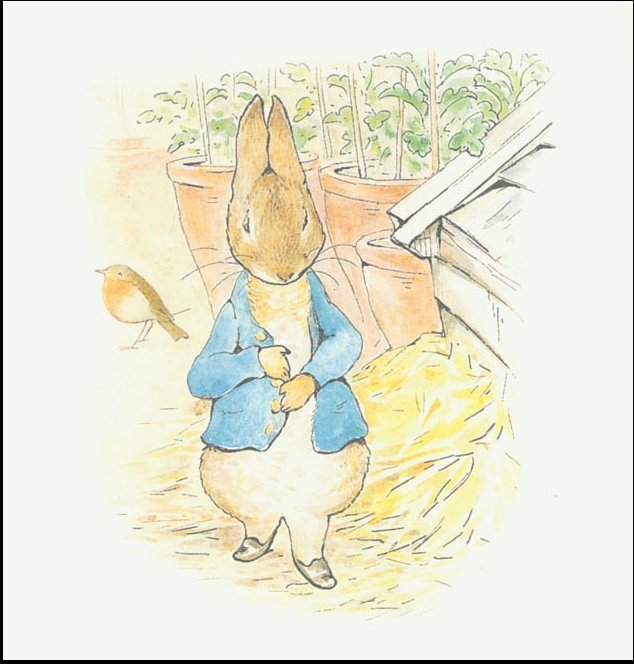 Peter Rabbit 10a - (11x11) — Beatrix Potter