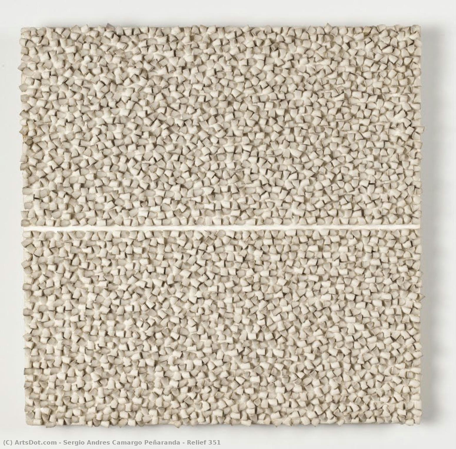 Relief 351 — Sergio Andres Camargo Peñaranda