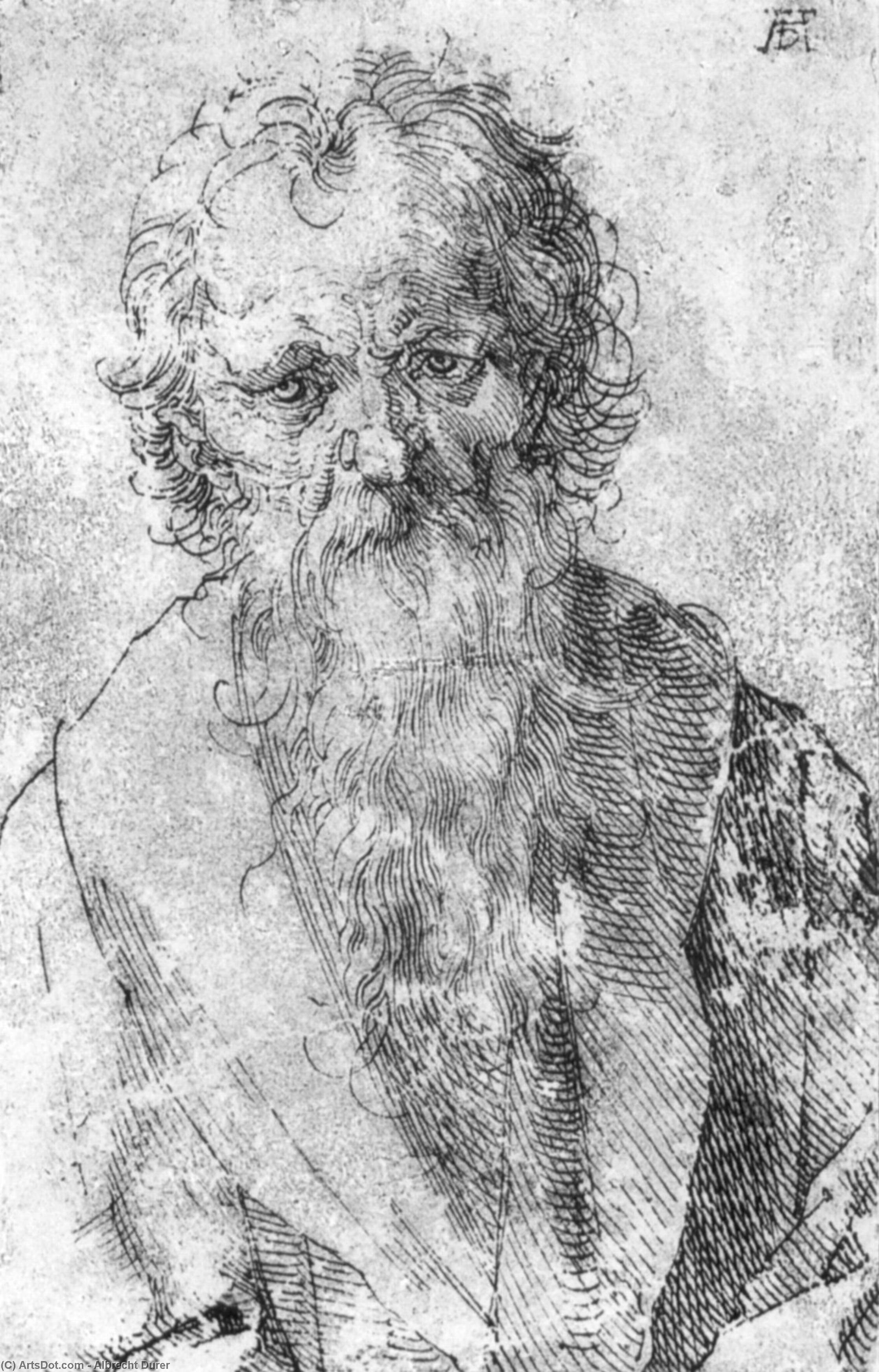 Bearded Man — アルブレヒト・デューラー