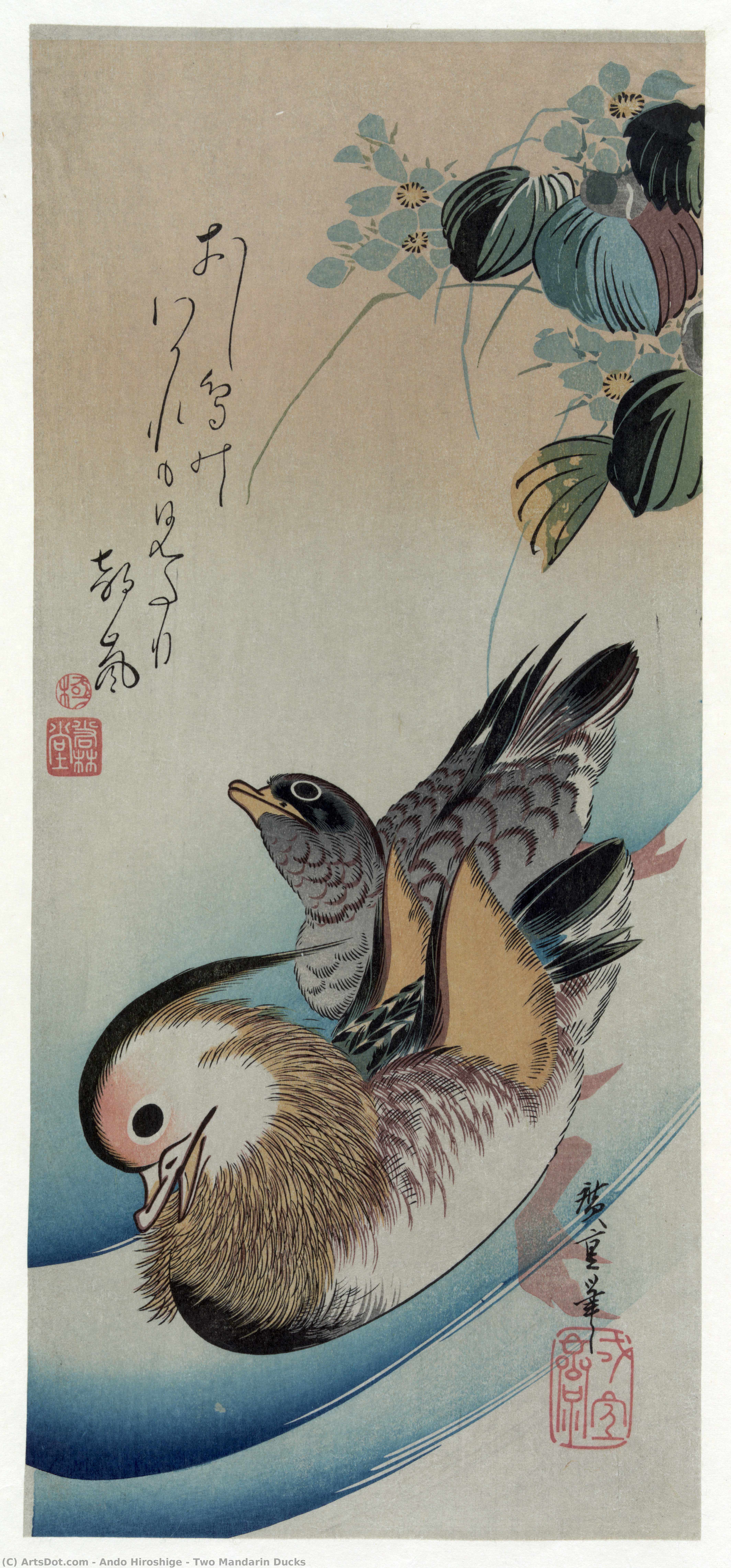 Two Mandarin Ducks — Андо Хирошиге