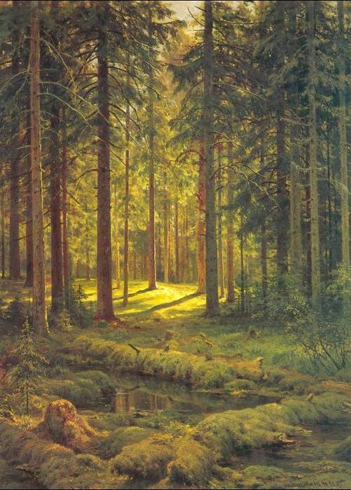 Coniferous Forest. Sunny Day — Ivan Ivanovich Shishkin