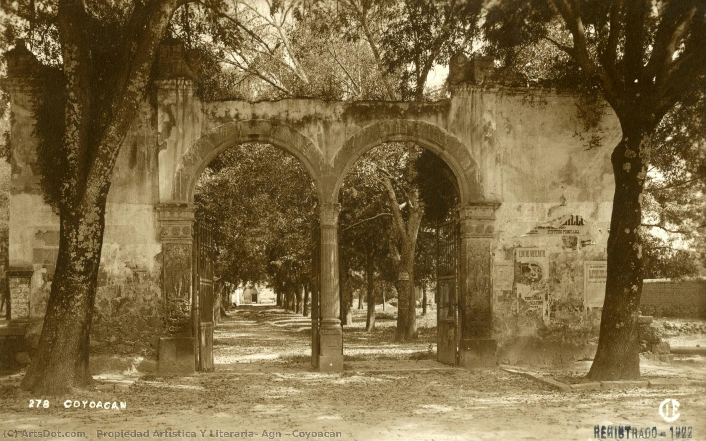 Coyoacán — Propiedad Artística Y Literaria, Agn