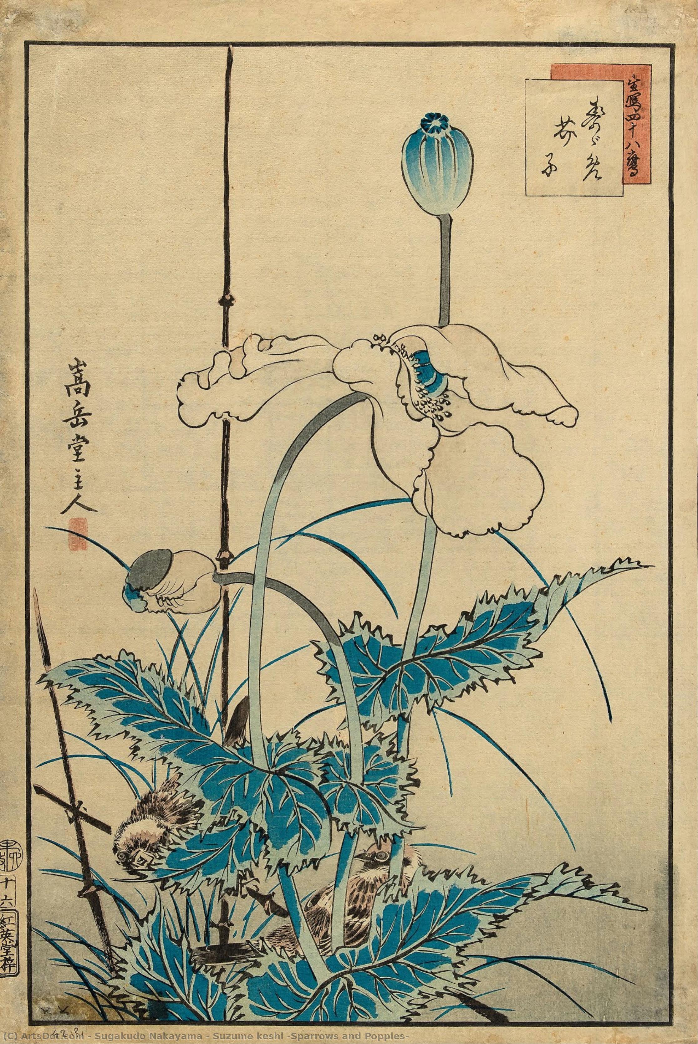 Suzume Keshi (sparrows And Poppies) — Sugakudo Nakayama