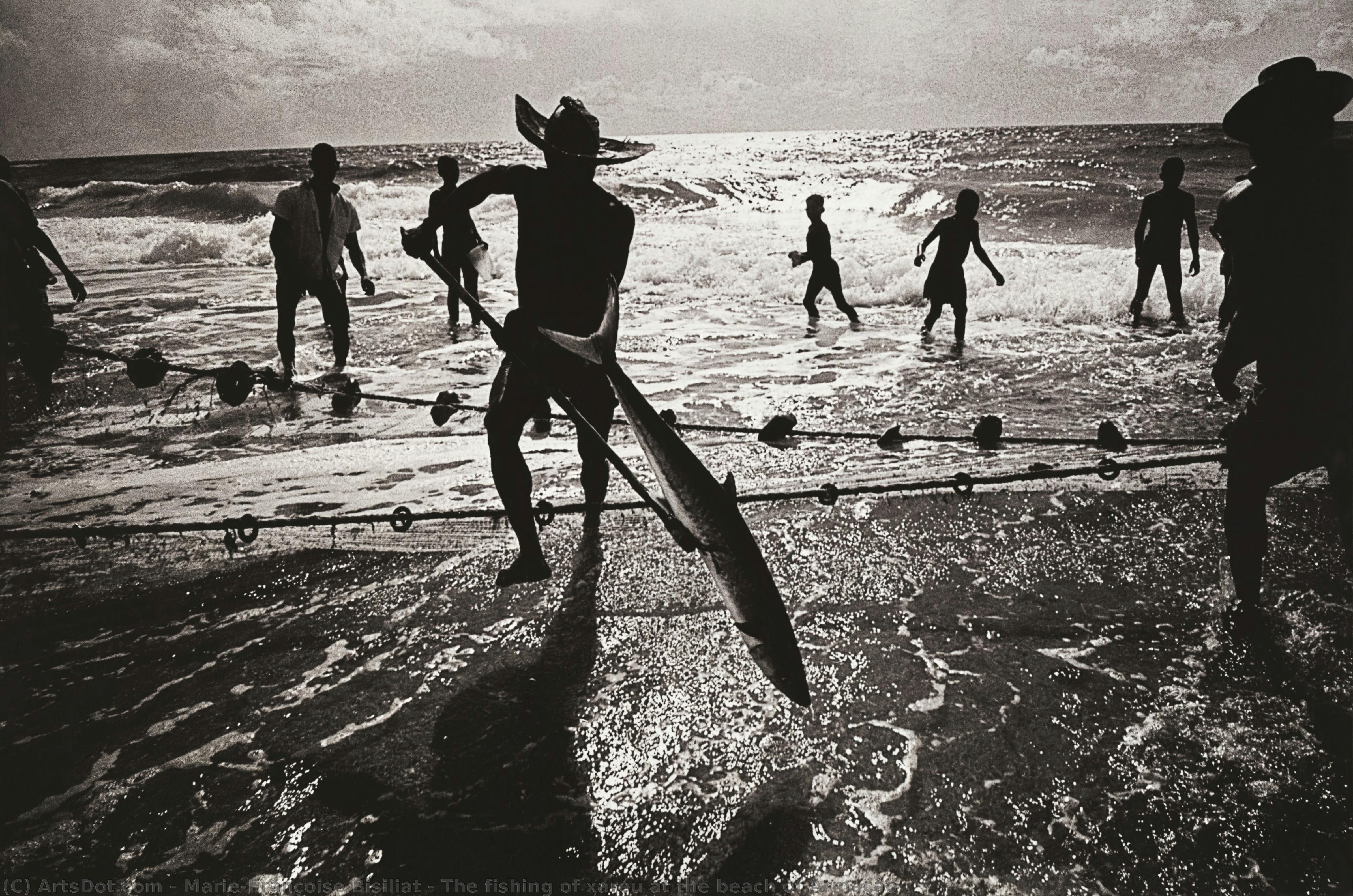 The Fishing Of Xaréu At The Beach Of Armação — Mari-fransoz Bisiliat