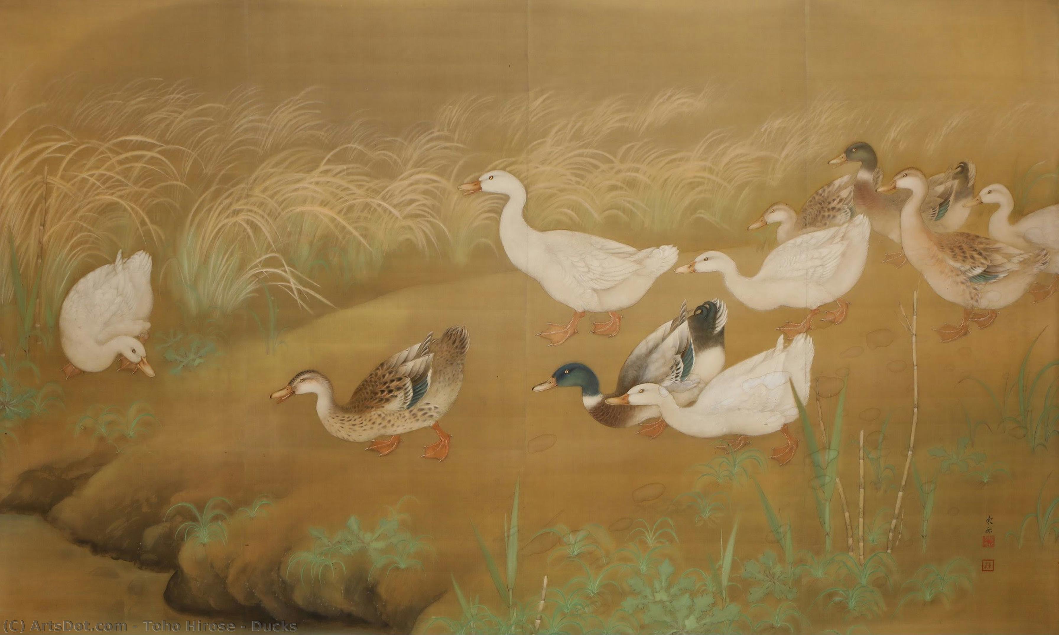 Ducks — Toho Hirose