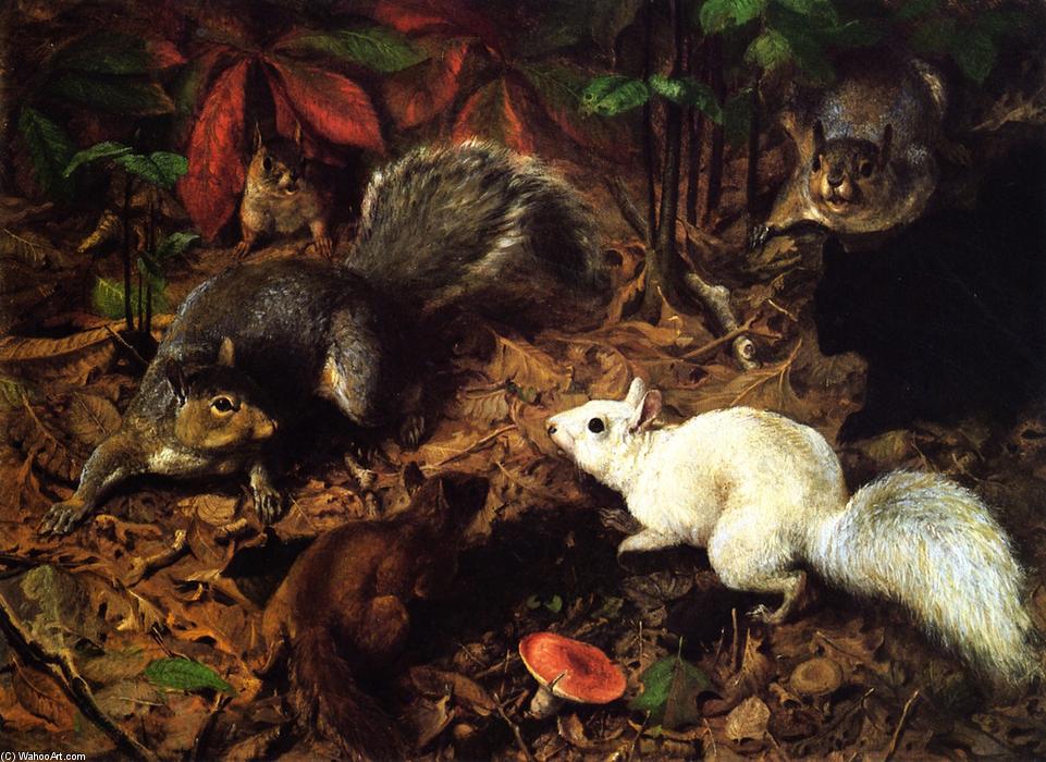Squirrels (also Known As The White Squirrel) — ウィリアム・ホルブルック・ビアード