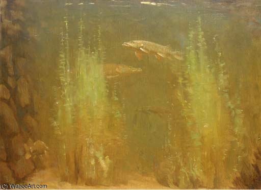 Pike Swimming — Геррит Вилем Диссельхоф