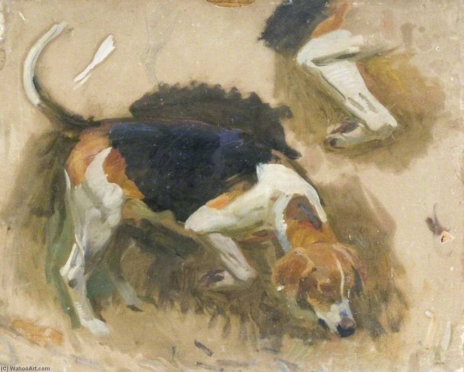 Estudio De Un Sabueso (recto) — Sir Alfred James Munnings