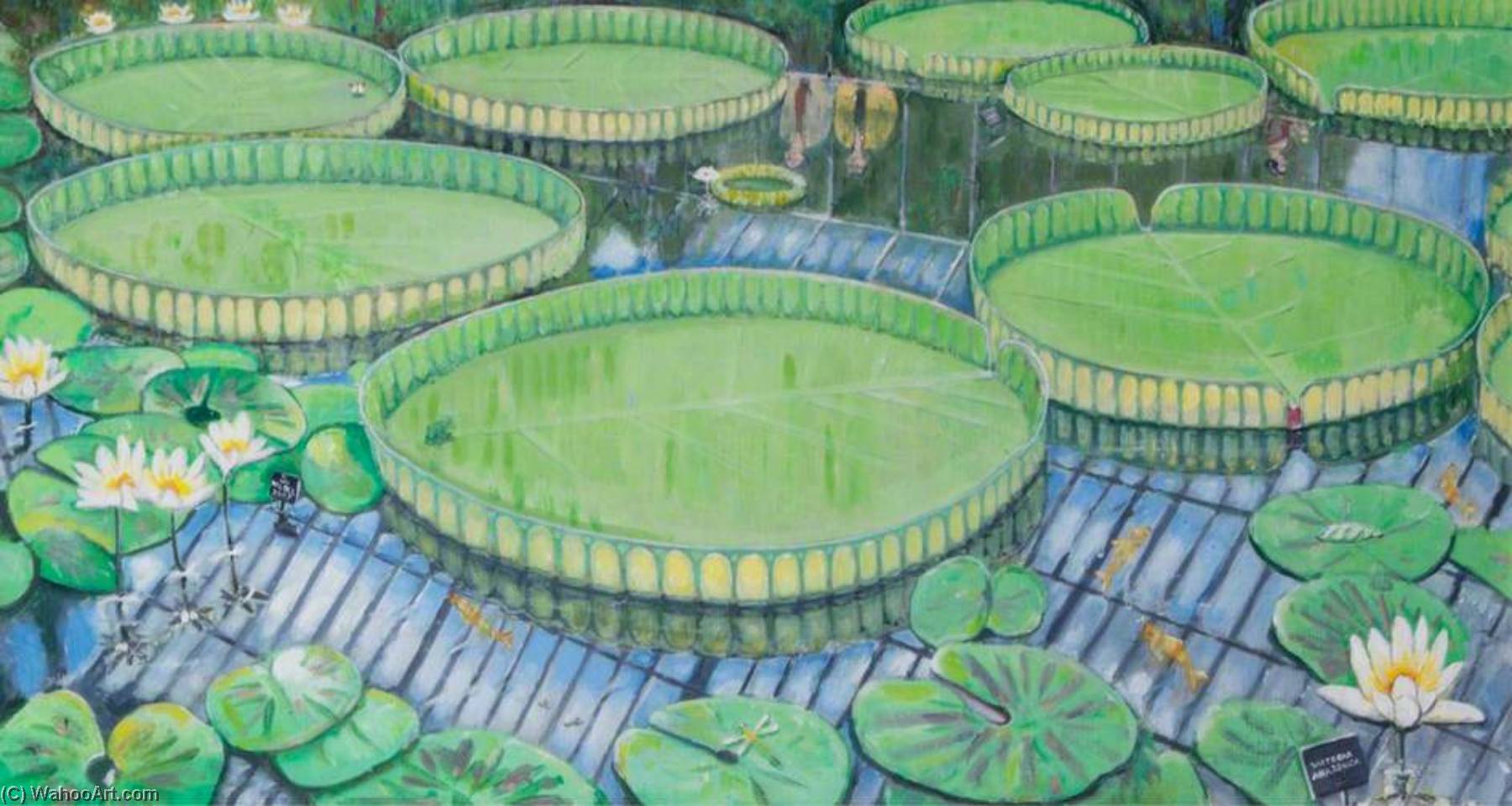 Giant Lily Reflections — Stephen Nicoll