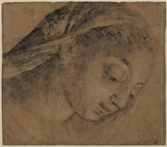 Female Head — Jacopo Bassano (jacopo Da Ponte)