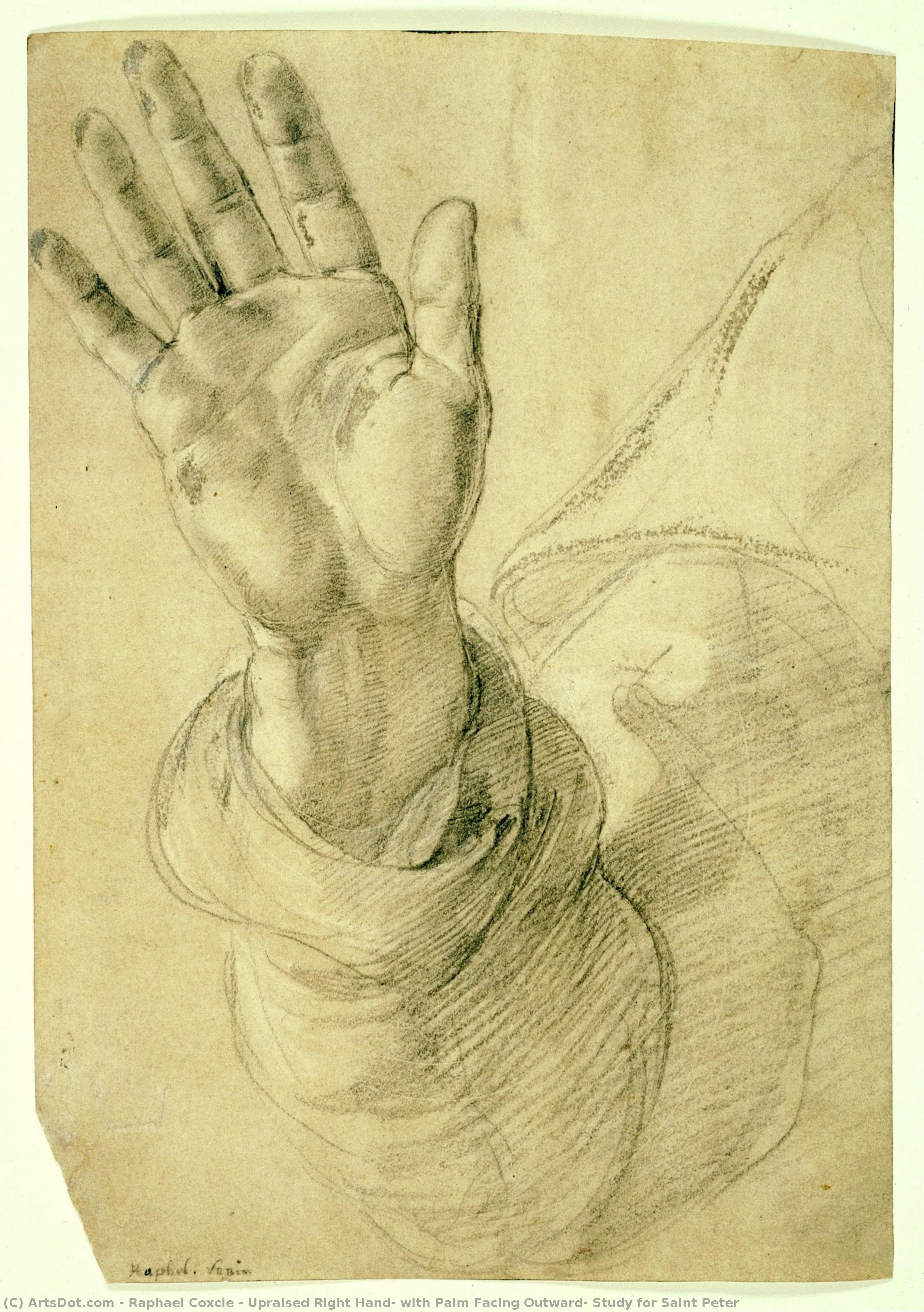 Upraised Right Hand, With Palm Facing Outward: Study For Saint Peter — Raphael Coxcie