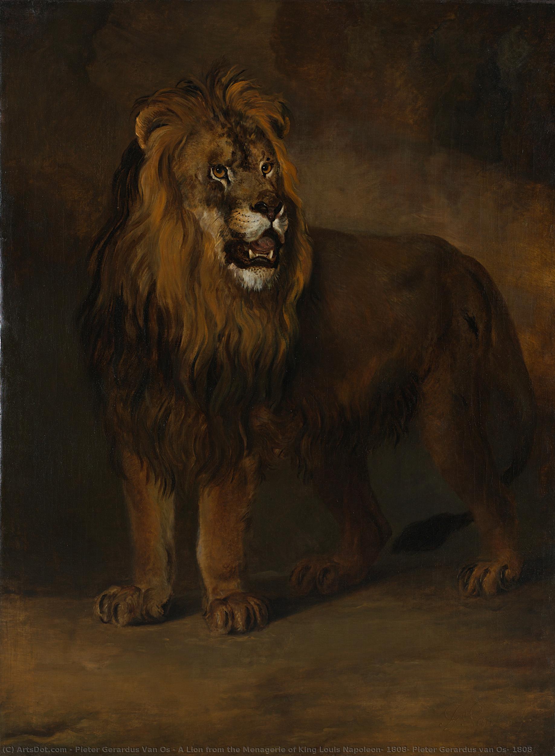 A Lion From The Menagerie Of King Louis Napoleon, 1808, Pieter Gerardus Van Os, 1808 — Pieter Gerardus Van Os