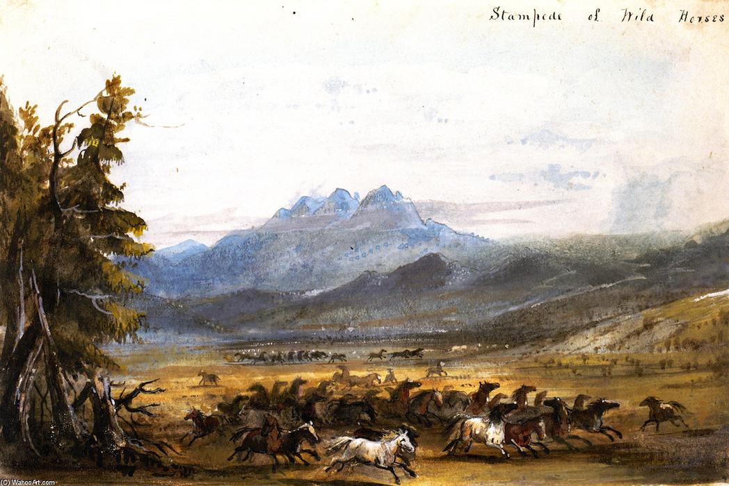 Stampede Of Wild Horses — Alfred Jacob Miller